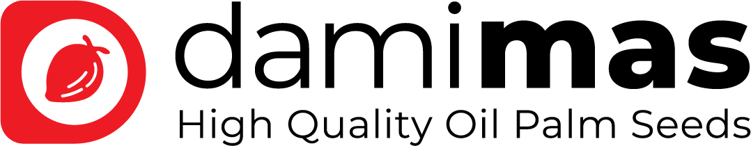 Logo Dami Mas