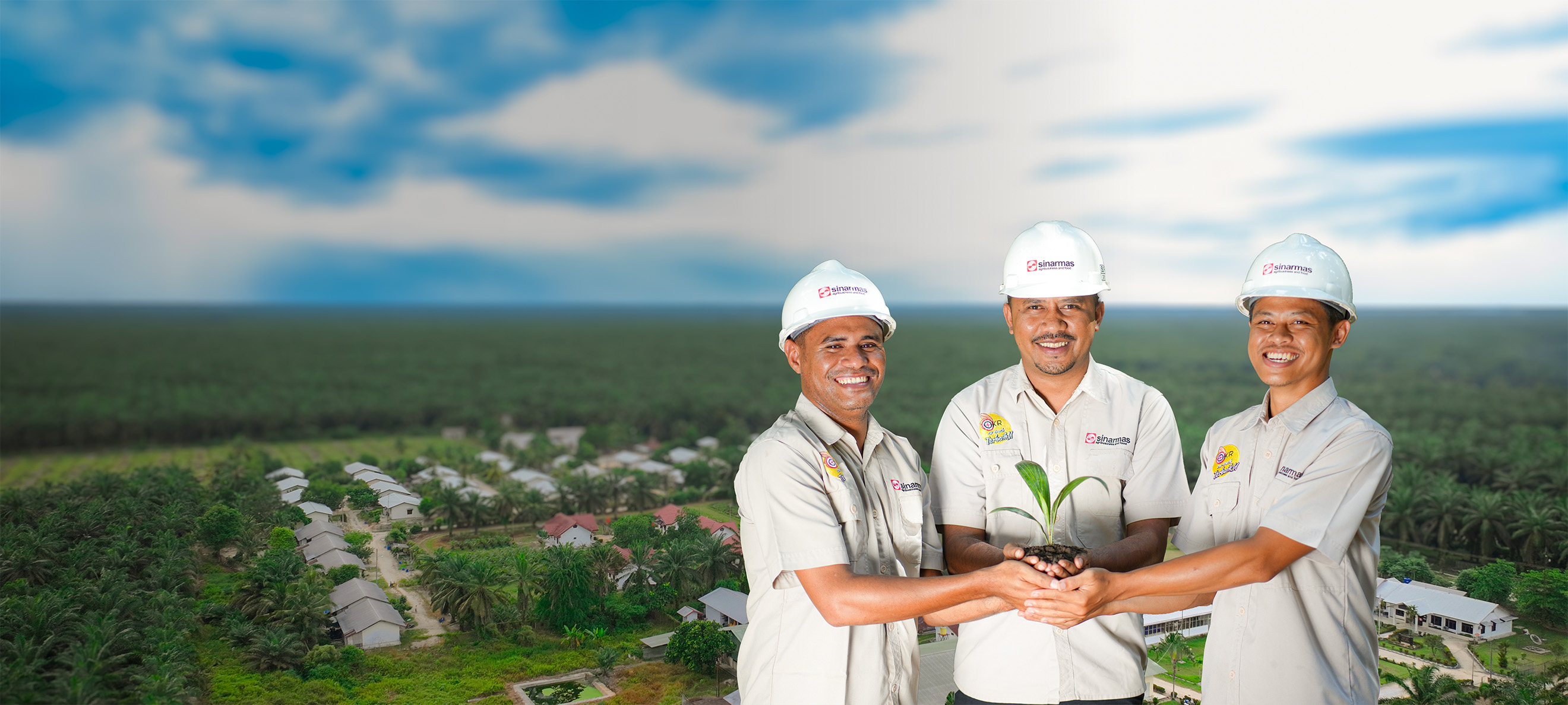 Oil Palm Nursery